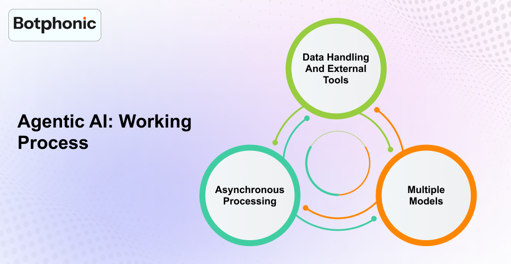Agentic AI Working Process