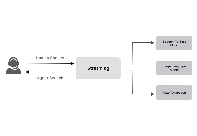 Voice Agent Engages Customer